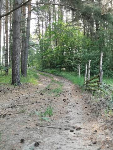 Фото Загородные дома Polne Zacisze г. Lgiń 5